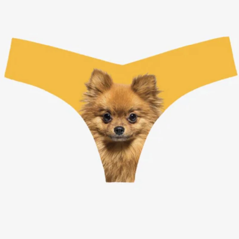 seamless low - rise women thongs for a sleek fitCommando Photo-Op Thong Pomeranian CT18